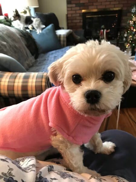 Bella