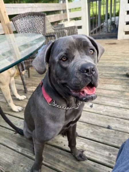 Coco