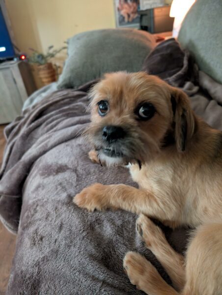 Mochie