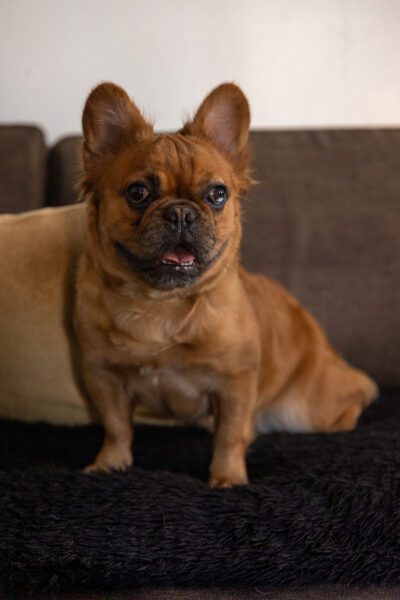 Zoey