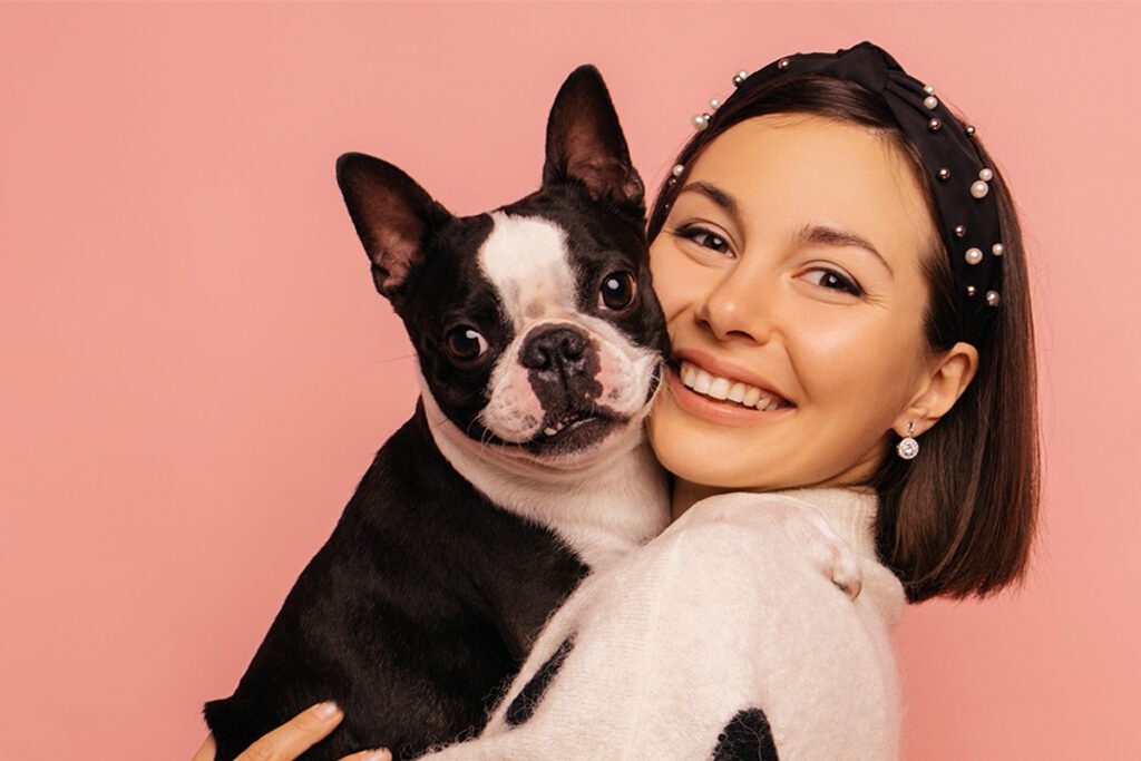 How to Adopt a Boston Terrier in New York