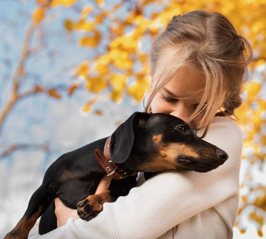 Dachshund With Woman On Yellow Trees Background