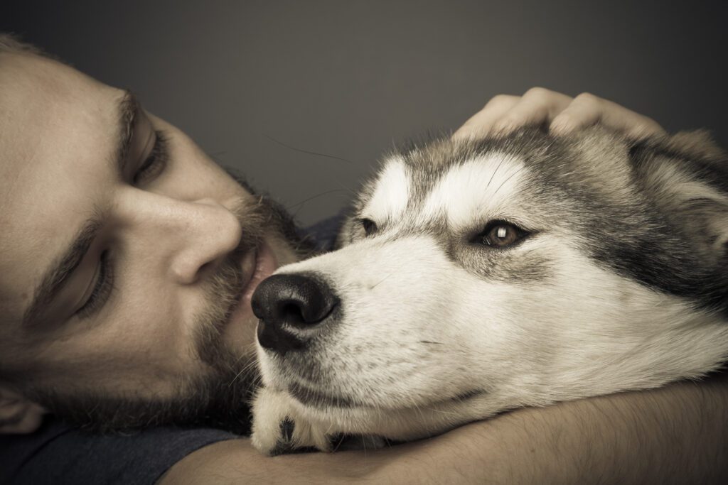 Husky With Man