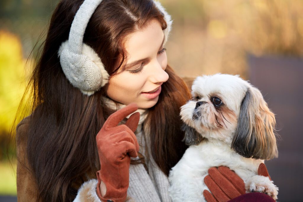 Shih Tzu With Woman