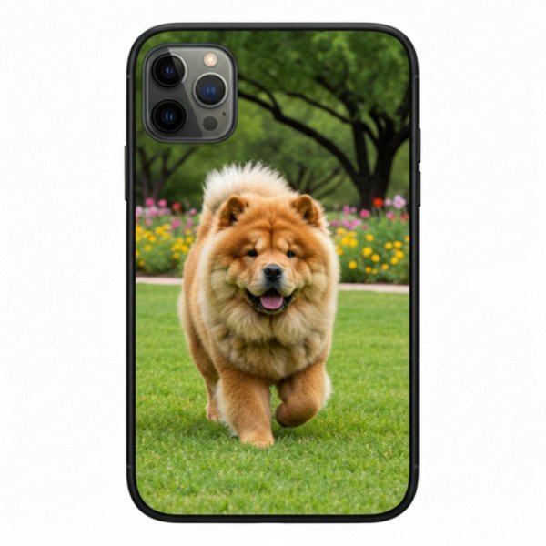 chow chow in Peoria, Arizona