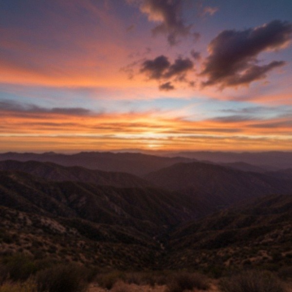 greyhound in Santa Clarita, California