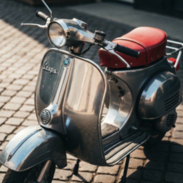 havapoo in Montgomery, Alabama