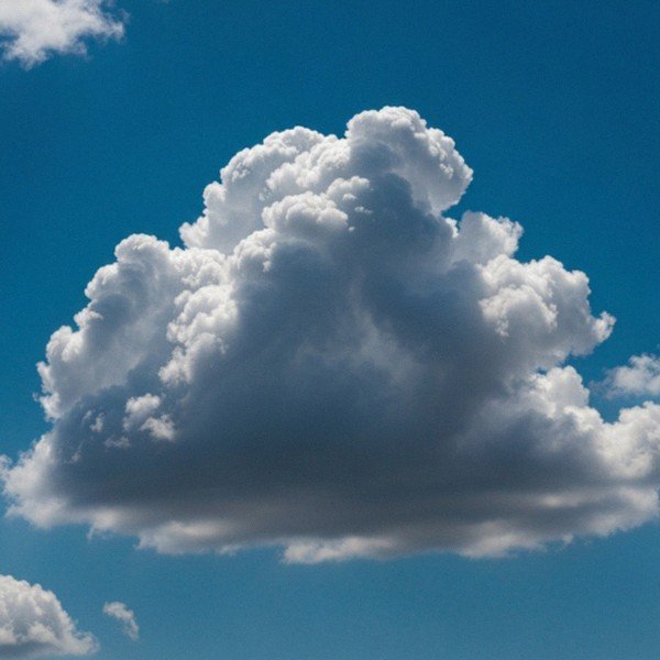 havapoo in San Diego, California