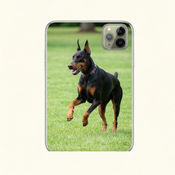 doberman in Eugene, Oregon
