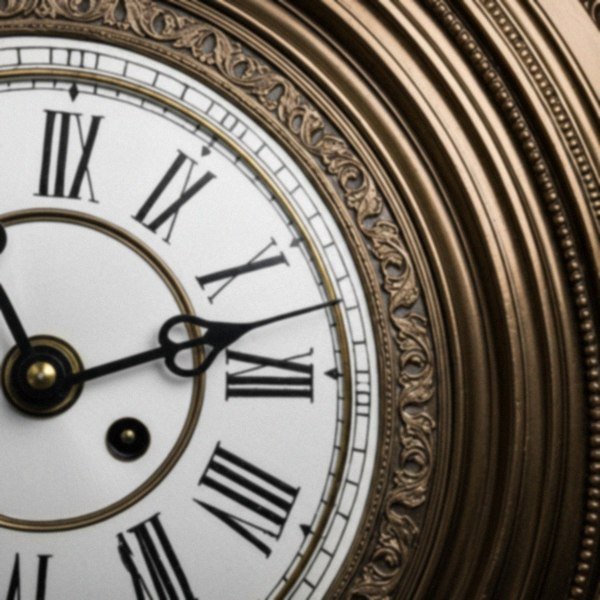 f1b goldendoodle in Charlotte, North Carolina