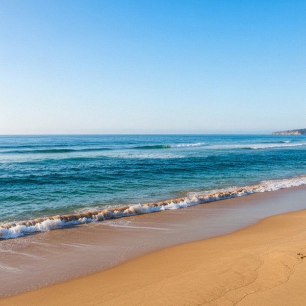 f1b goldendoodle in Durham, North Carolina