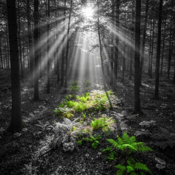 german shepherd husky mix in Salt Lake City, Utah