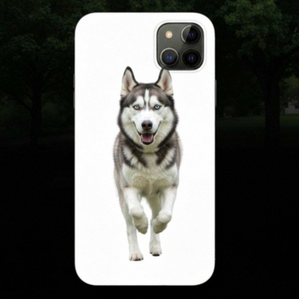 husky in Boise, Idaho