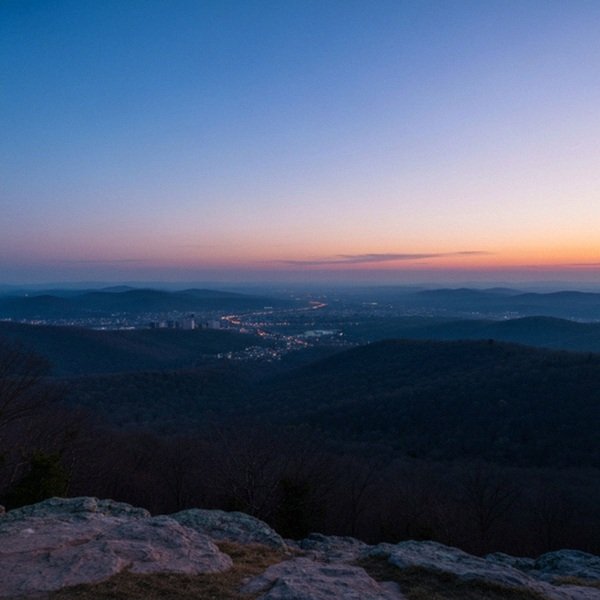 labradoodle in St. Louis, Missouri