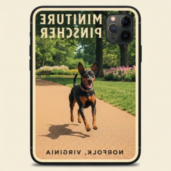 miniature pinscher in Norfolk, Virginia