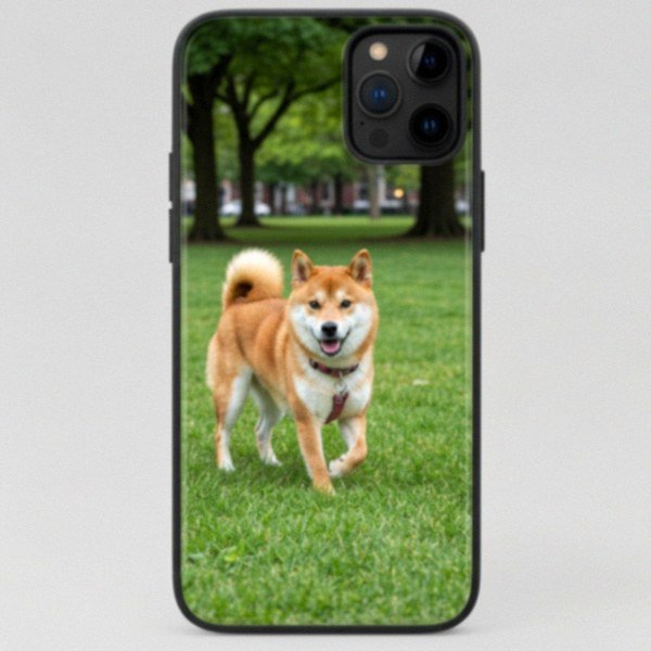 shiba inu in Philadelphia, Pennsylvania