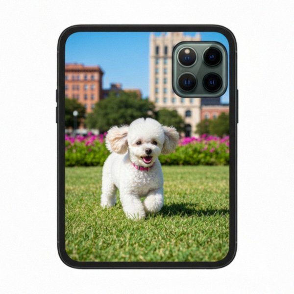 teacup poodle in Oklahoma City, Oklahoma