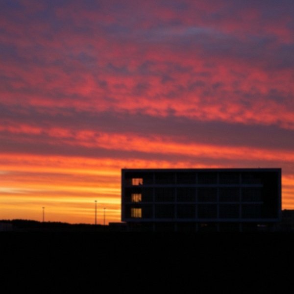 Alabai in Chula Vista, California