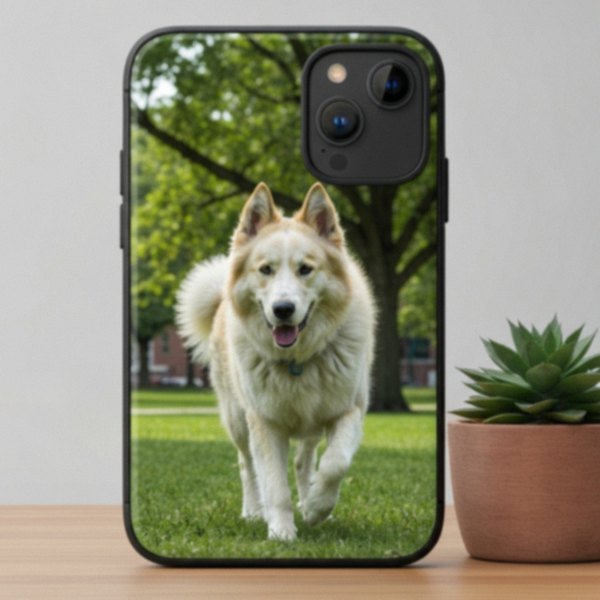 Alabai in Milwaukee, Wisconsin