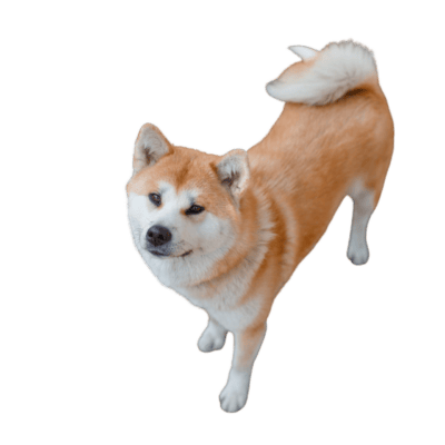 Hokkaido