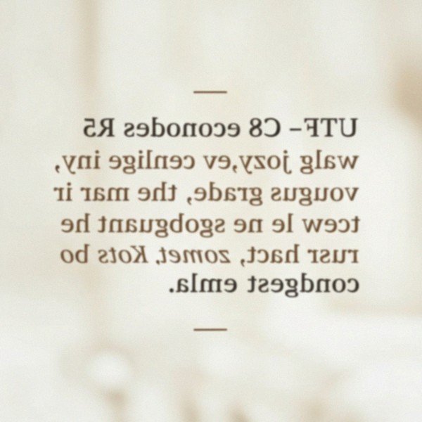 Shih Tzu in Albuquerque, New Mexico