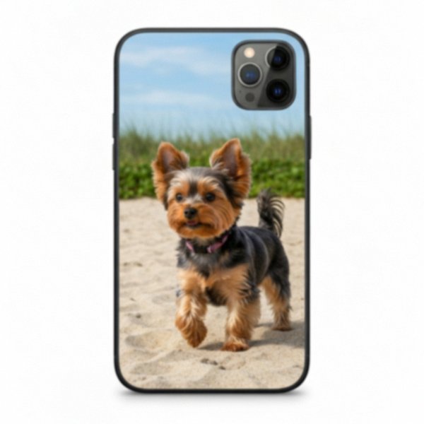 Teacup Yorkie in Virginia Beach, Virginia