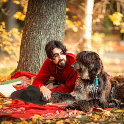 Afghan Hound
