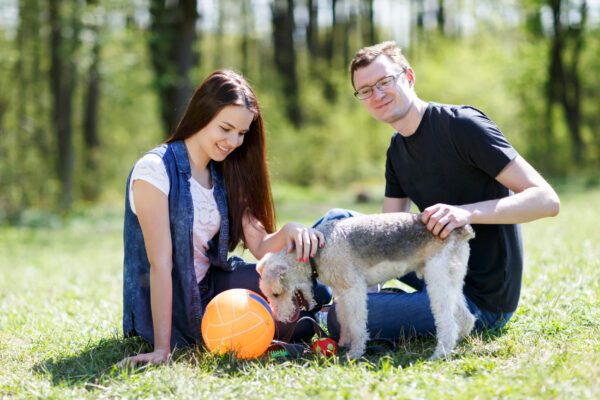 Airedale Terrier Sitting With Couple In Park