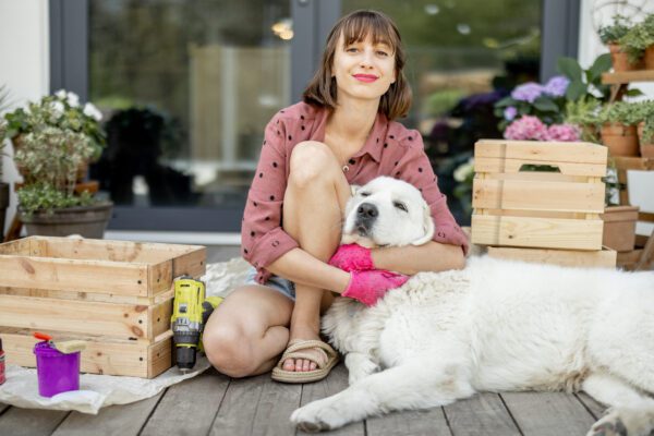 Akbash Dog Comfortably Sitting With Woman Outdoors