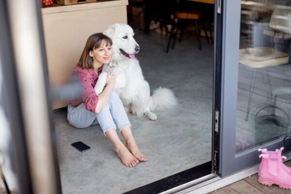Akbash Dog Happily Sitting Beside Young Girl