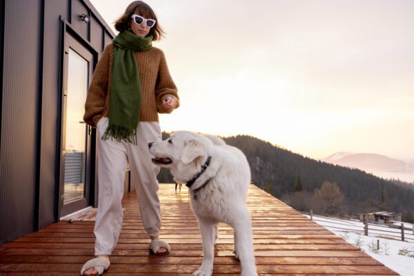 Akbash Dog Happily Walking With Woman Outdoors