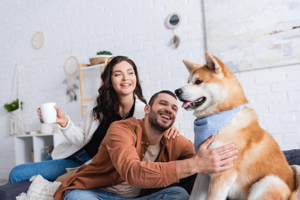 Akita Dog Posing With Happy Couple Indoors