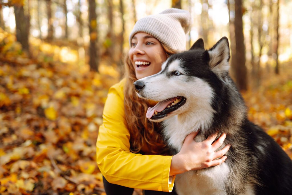 How To Adopt a Alaskan Husky in New Hampshire
