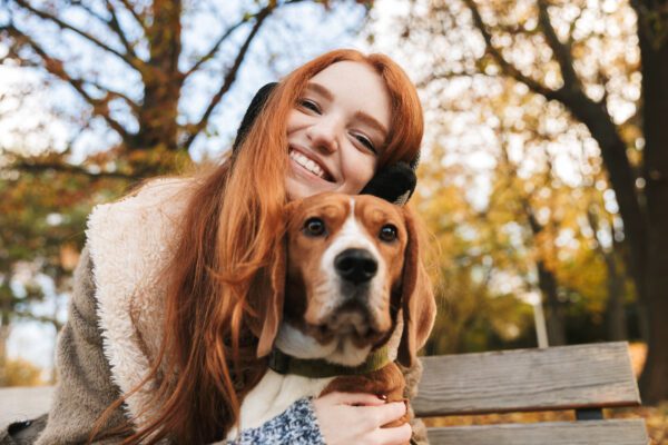 American Foxhound Posing Seriously Beside Owner