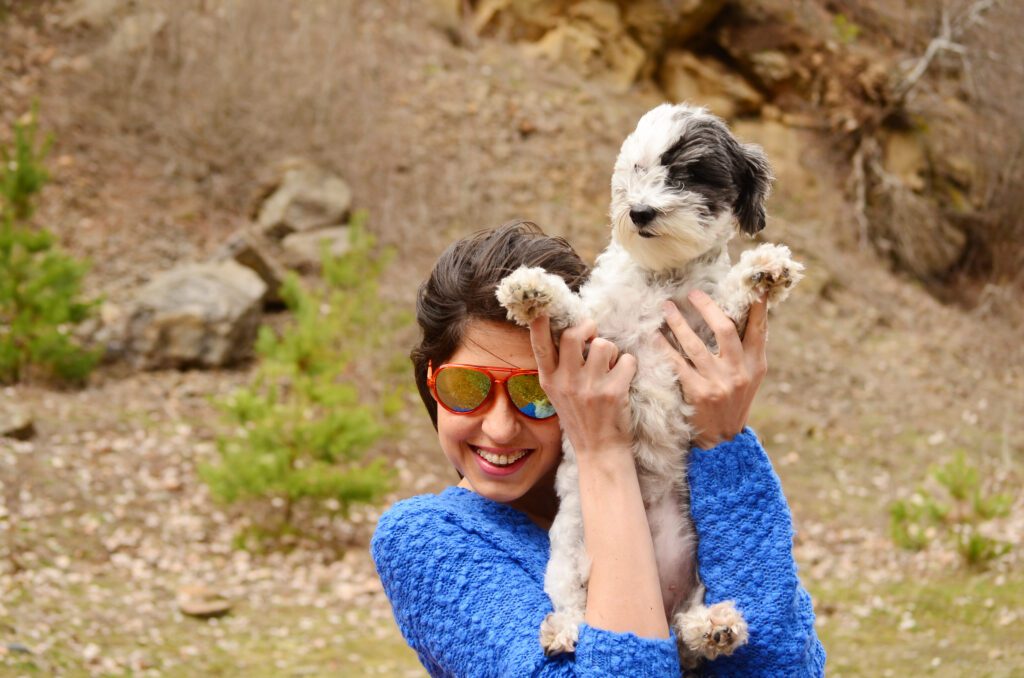 Aussiedoodle Puppy Being Held By Smiling Owner