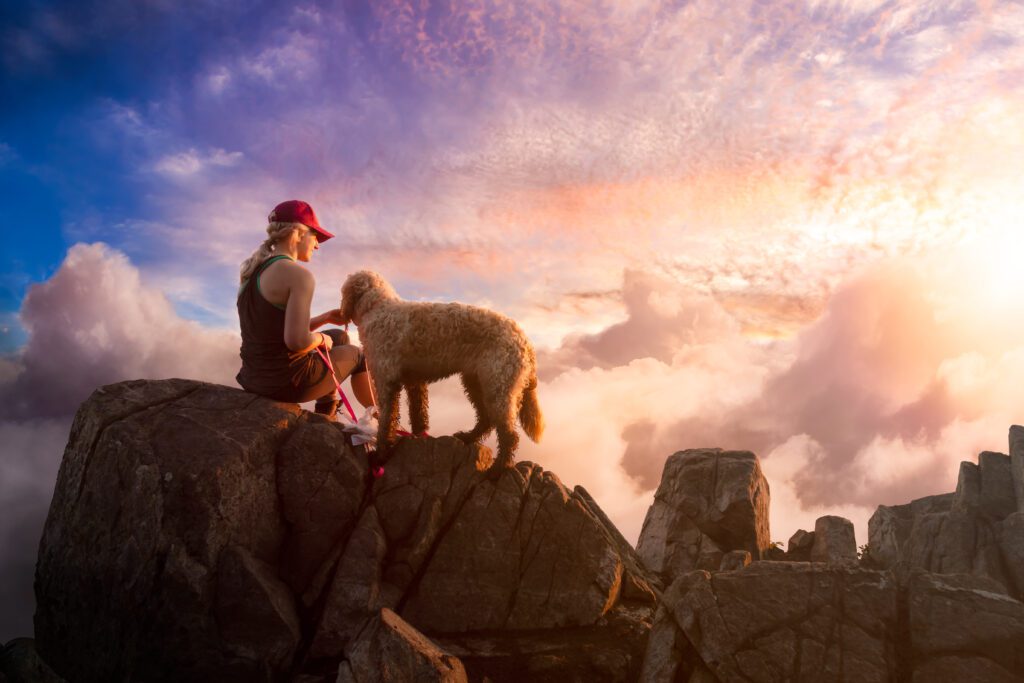 Aussiedoodle Standing Proudly Beside Owner On Rocky Trail