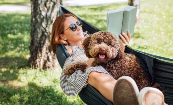 Australian Labradoodle Relaxing With Owner Reading A Book Outdoors