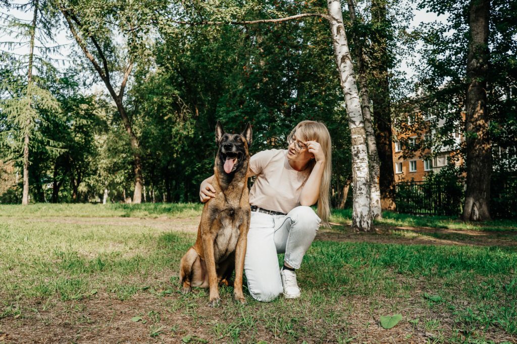 Belgian Shepherd Sitting Calmly Beside Owner At The Park