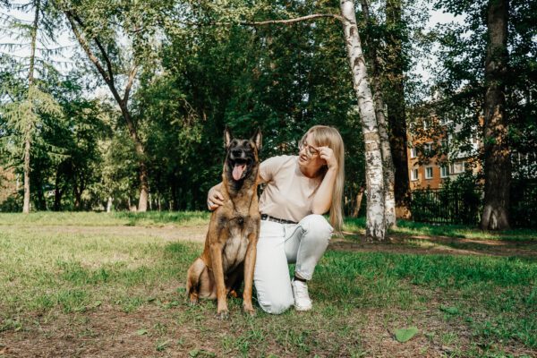 Belgian Shepherd Sitting Calmly Beside Owner At The Park