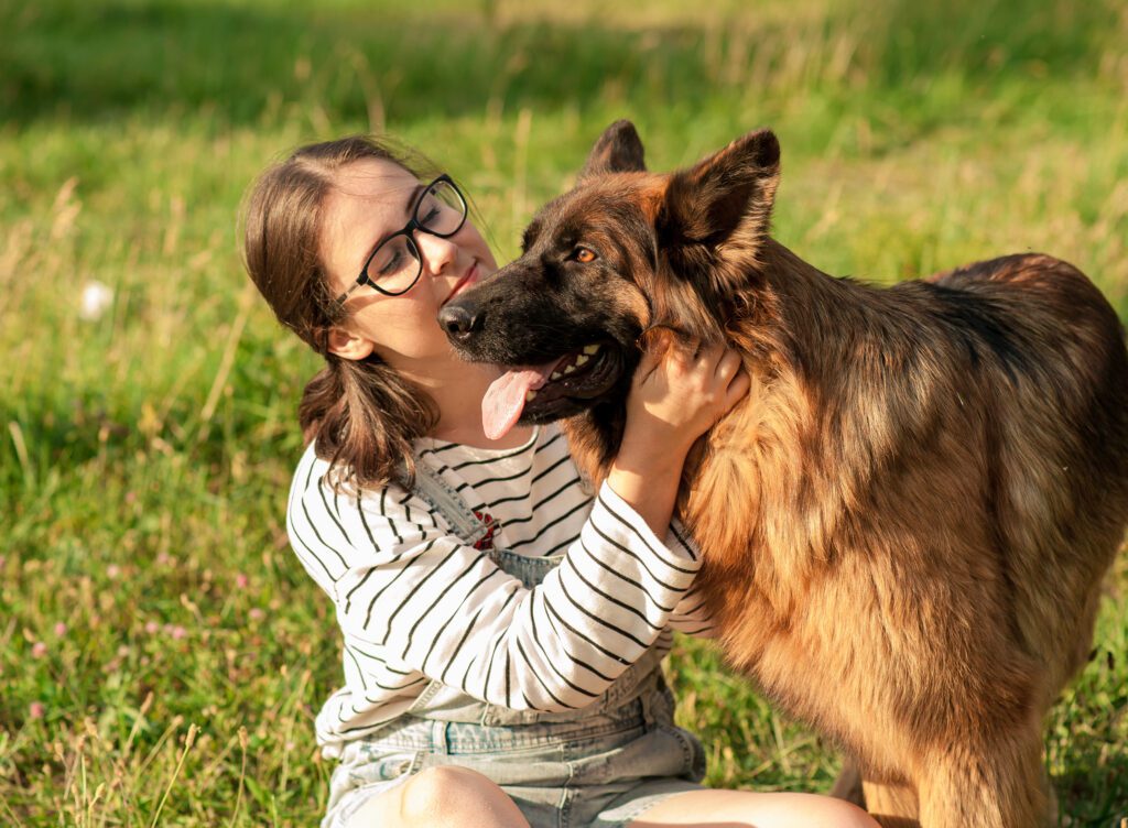 Belgian Tervuren Enjoying Affectionate Moment With Girl In A Grass Field