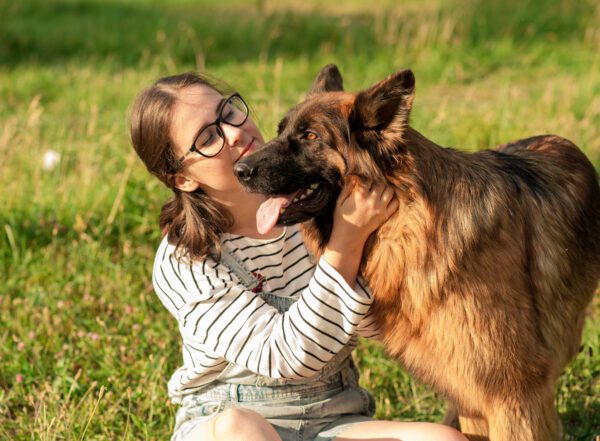 Belgian Tervuren Enjoying Affectionate Moment With Girl In A Grass Field