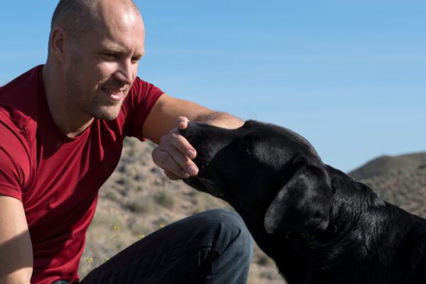 Black Lab Enjoying Moment With Owner Outdoors