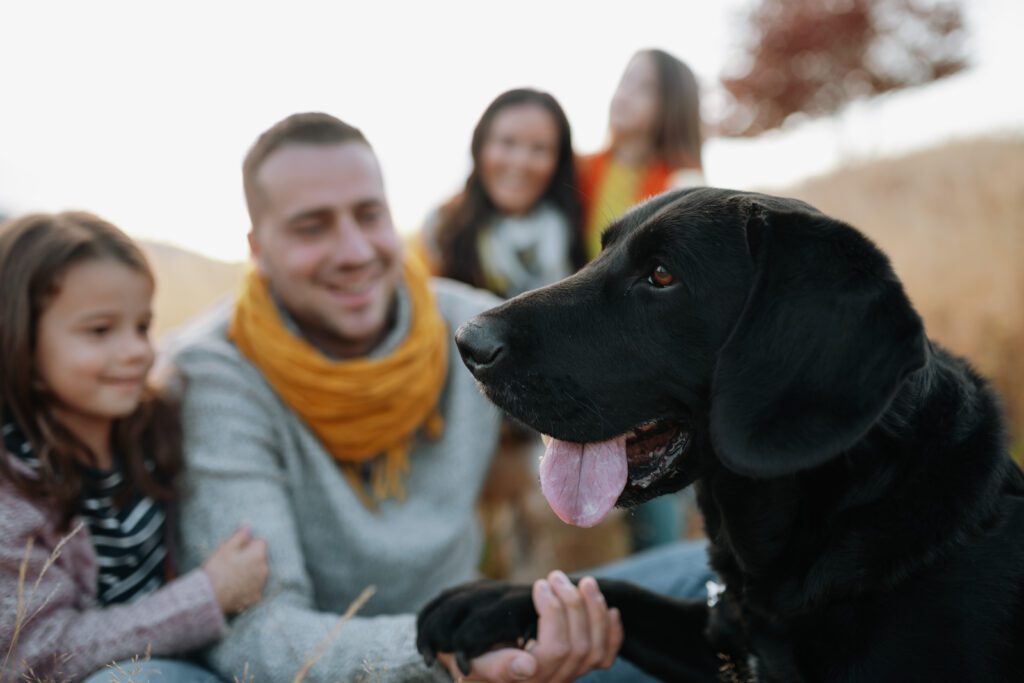 Black Lab Interacting Happily With Family Outdoors