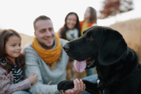 Black Lab Interacting Happily With Family Outdoors