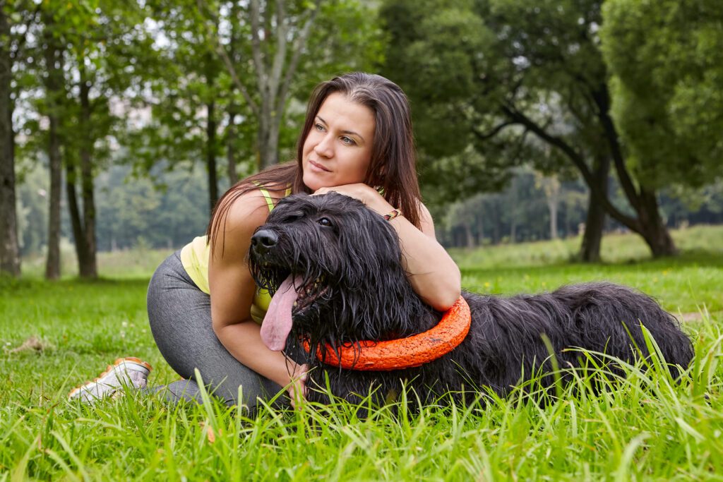 Black Russian Terrier Relaxing With Owner At The Park