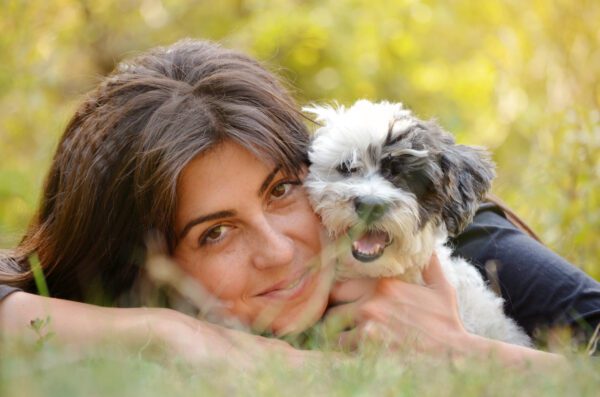 Bordoodle Dog Cuddling With Woman Outdoors