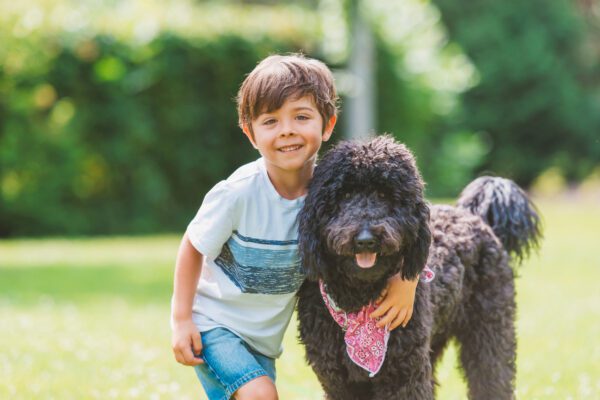Bordoodle Dog Standing Beside Smiling Child Outdoors