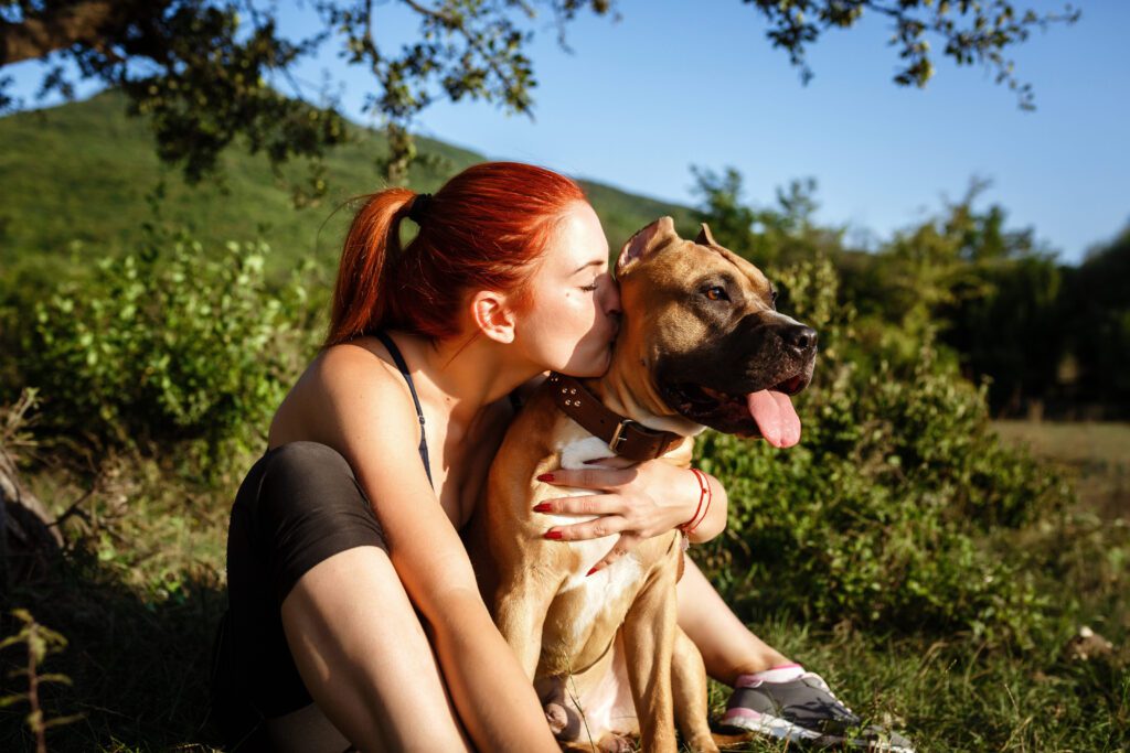 Boxer Dog Being Hugged By Female Owner Outdoors