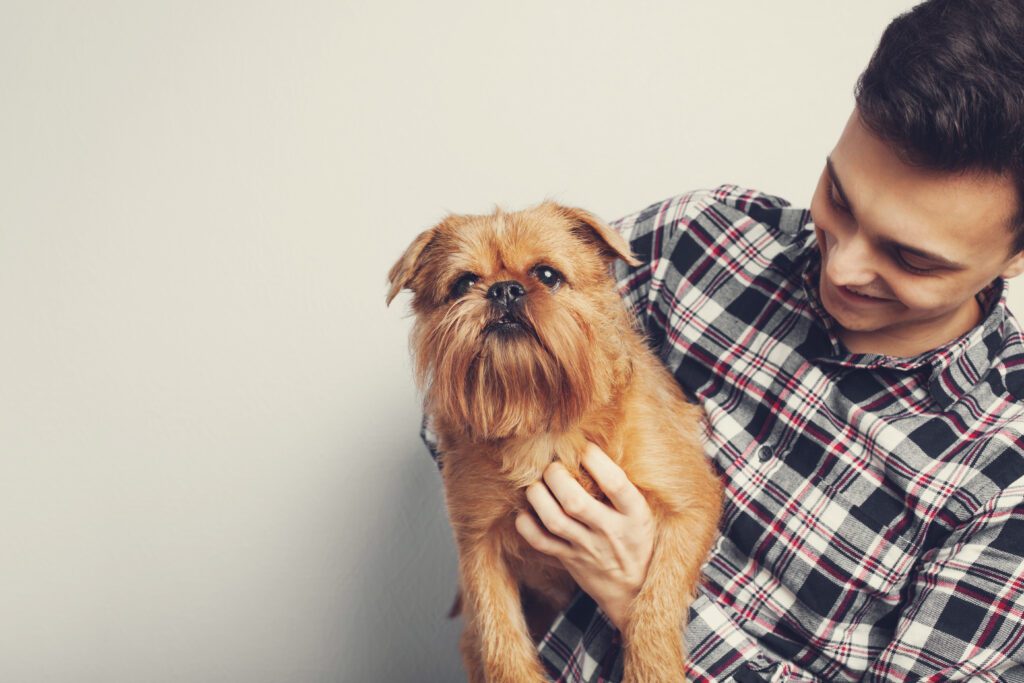 How To Adopt a Brussels Griffon in Delaware
