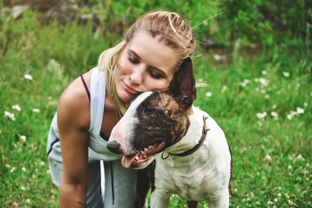 Bull Terrier Being Hugged By Female Owner Outdoors